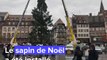 Strasbourg: Le sapin de Noël a été installé!