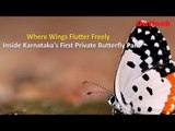 'Where Wings Flutter Freely': Inside Karnataka's First Private Butterfly Park