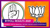 Bypoll Results 2021: Congress Wins In Himachal; Victory For BJP, Allies In Northeast