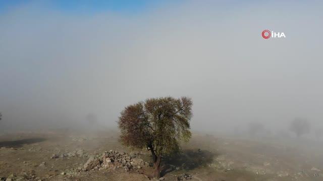 Tarihi Karahisar Kalesi sislerin arasında kayboldu