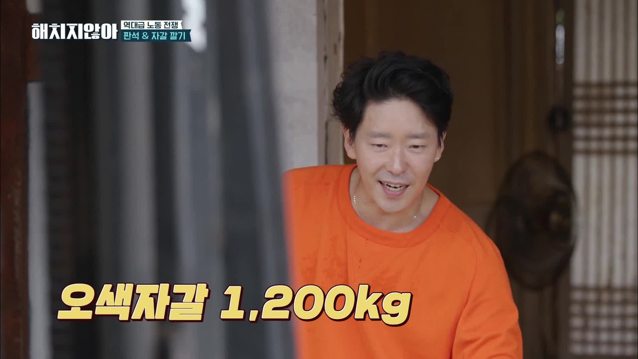 .도망가자!! 잔디 깔다 도망칠 각 잡는 고흥 날다람쥐 온주완♥