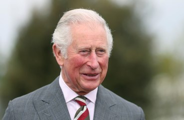 Prince Charles 'instrumental' in persuading Jeff Bezos to donate £732 million for land restoration in Africa