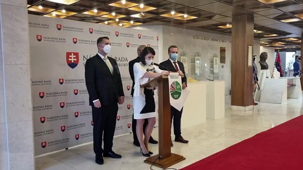 ZÁZNAM: TK strany Sloboda a Solidarita k interrupciám