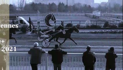 Pronostic pour la course du Quinté PMU du mercredi 3 novembre 2021