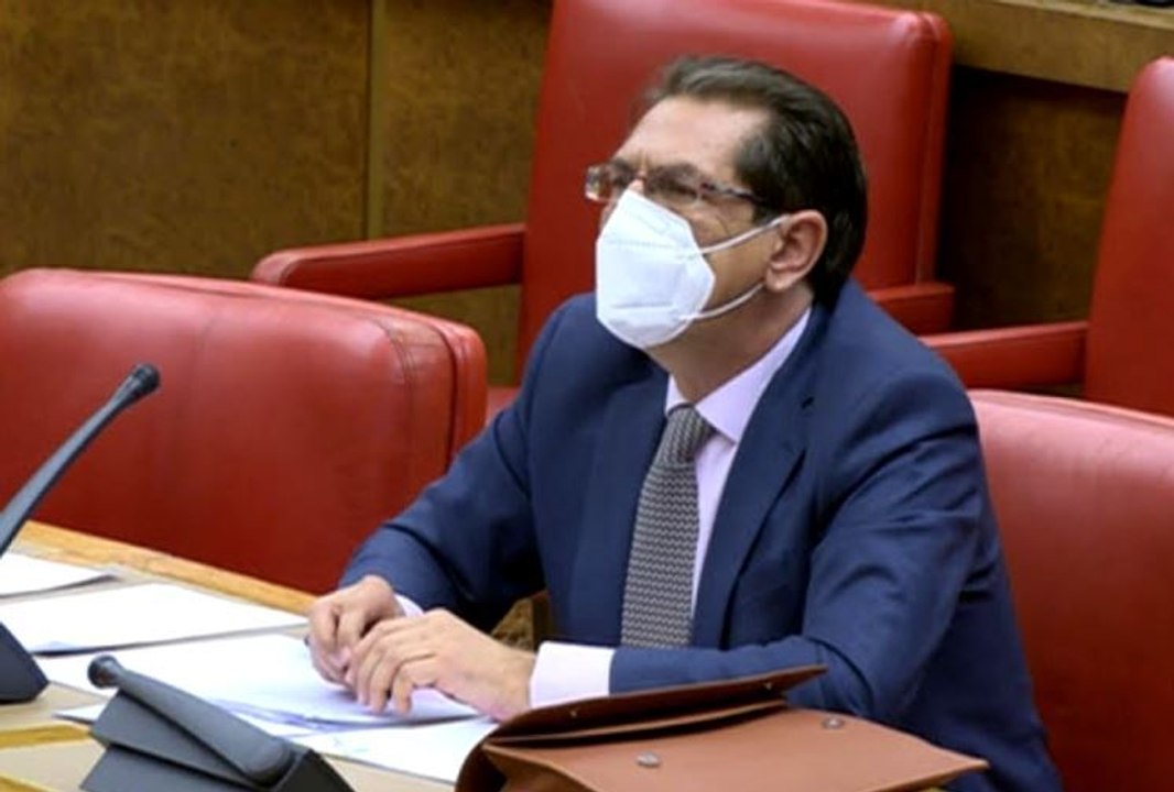Así se han defendido los candidatos del PP al Constitucional en el Congreso