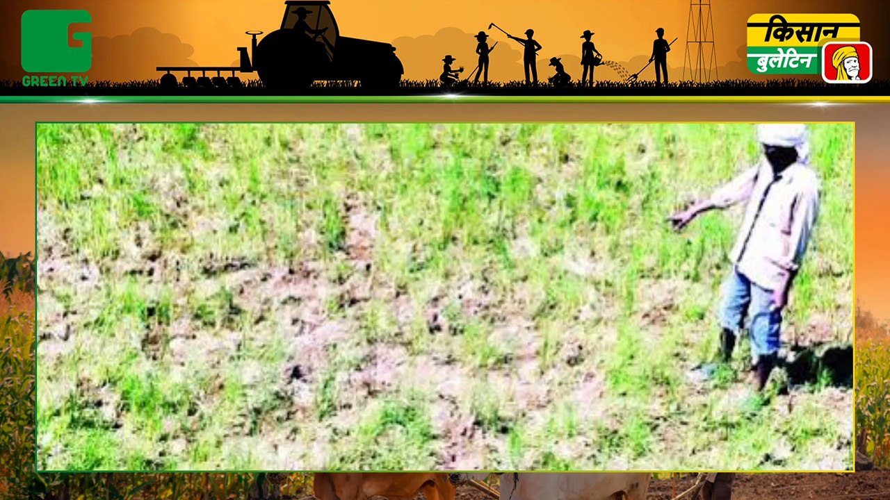 Kisan Bulletin -  Nagaland में पैदा हुए सूखे जैसे हालात, Kisano के सामने खड़ी हुई खेती के लिए पानी की समस्या | Agri News Bulletin | Green TV