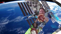 ISS Astronauts Eat ‘Best Space Tacos Yet’ Complete With Self-Grown Chilis