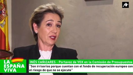 Entrevista a Inés Cañizares sobre los PGE