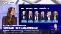 Congrès Les Républicains: qui a ses parrainages ?