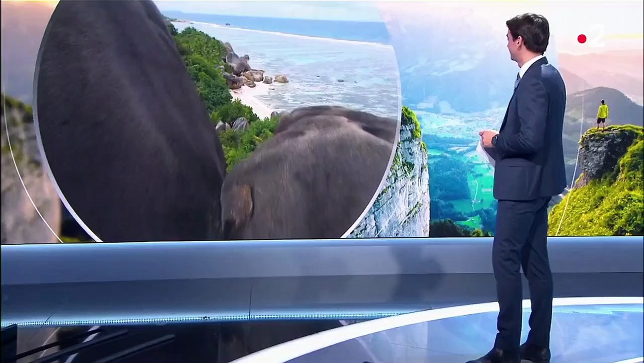 Seychelles : dans les eaux turquoise d'Anse Source d'Argent, un paradis terrestre