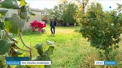 Agriculture : les retraites sont revalorisées à partir du 1er novembre