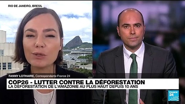 COP26 : la déforestation de l'Amazonie a son plus haut niveau depuis 2010