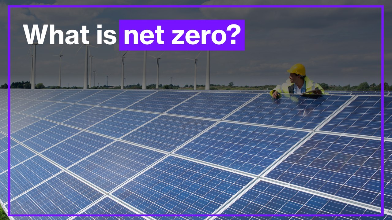 What is net zero?