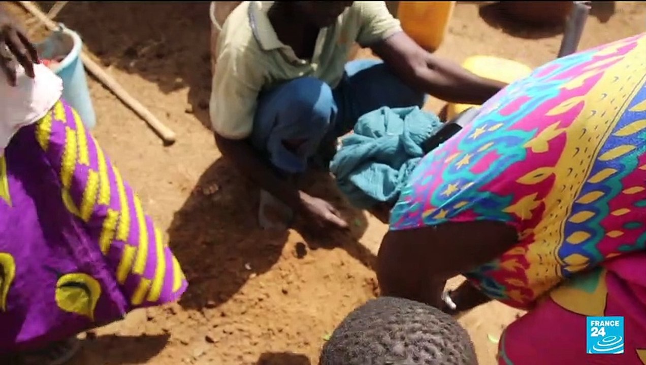 COP26 : la Grande Muraille Verte du Sahel verra-t-elle le jour ?