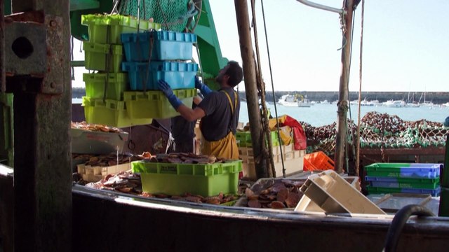 Újra a halászaton vitázik Nagy-Britannia és Franciaország