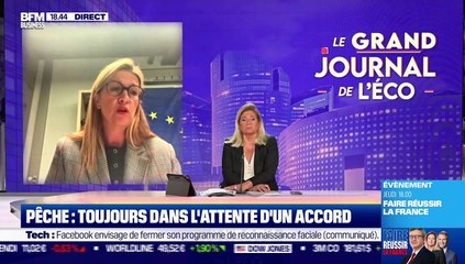 Stéphanie Yon-Courtin (Députée européenne Renaissance) : Pêche, toujours dans l'attente d'un accord - 02/11