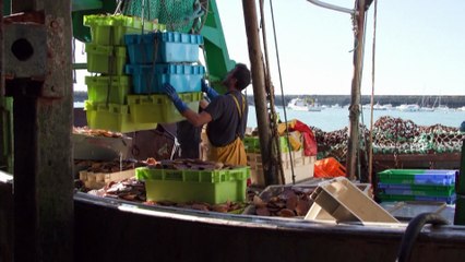 "Guerra das pescas": Reino Unido vs. França