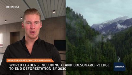 World Leaders To End Deforestation