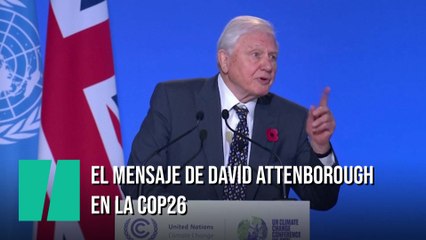 El aplaudido discurso de David Attenborough en la COP26