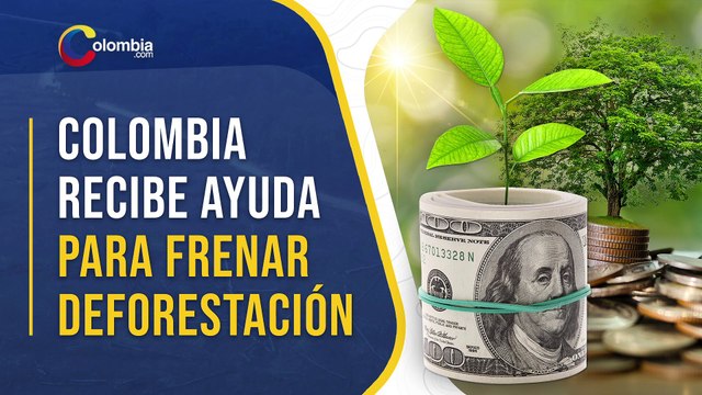 Colombia busca frenar deforestación en la Amazonía y reducir gases efecto invernaderos
