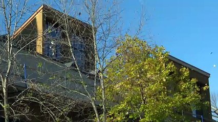 Cathédrale de Gaspé : une réfection plus dispendieuse que prévu