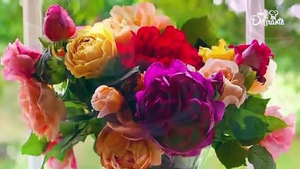 Dime qué color de rosa te gusta y te decimos su significado.| Cocina Delirante