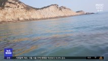 화물선 유출 기름이 미역 양식장 덮쳐‥어민들 '망연자실'