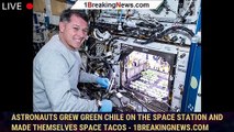 Astronauts grew green chile on the space station and made themselves space tacos - 1BREAKINGNEWS.COM
