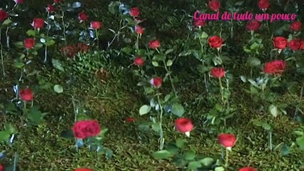 Novela A Indomada, Último capítulo