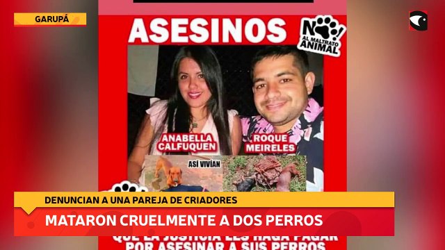 Mataron cruelmente a dos perros