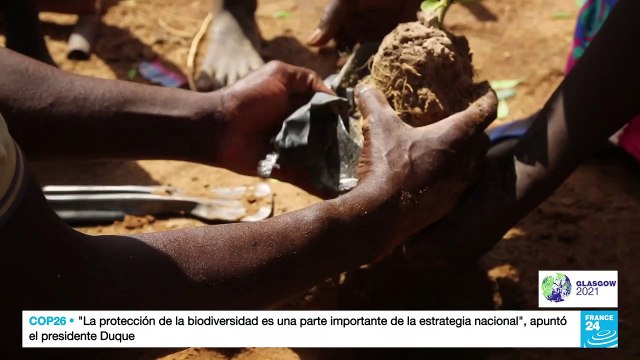 'La Gran Muralla Verde' recibe un impulso desde Europa en el marco de la COP26