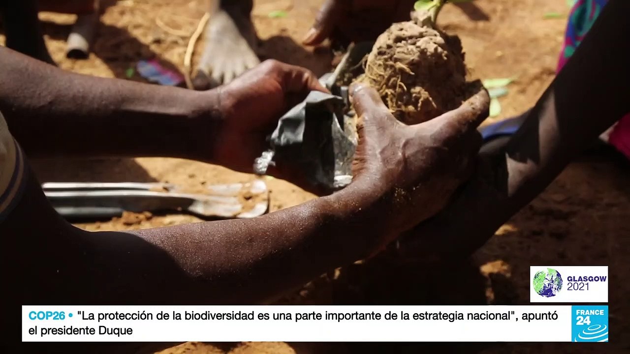 'La Gran Muralla Verde' recibe un impulso desde Europa en el marco de la COP26