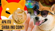 Pamor Shiba Inu, Kalahkan Dogecoin