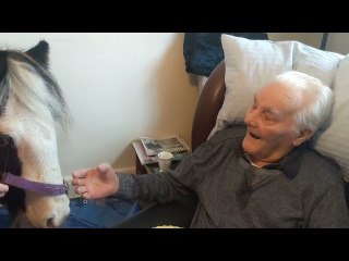 Granddads Heartwarming Surprise on his 96th Birthday
