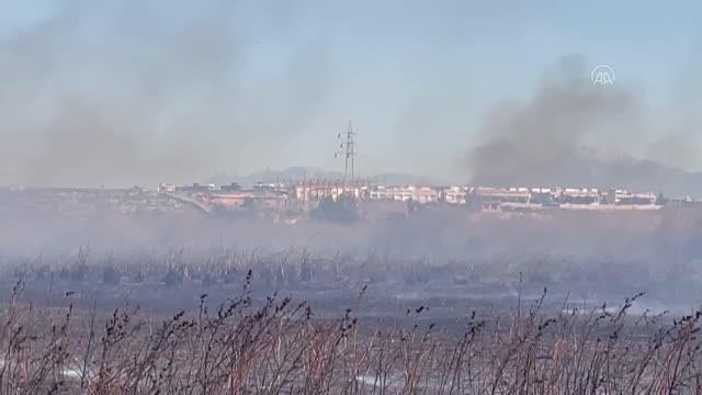 Son dakika... Sazlık alanda çıkan yangın kontrol altına alınmaya çalışılıyor