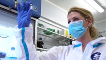 В России разработали тест на фейковые сертификаты о вакцинации от коронавируса