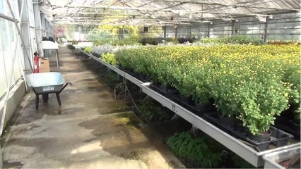 Le road trip d'Eric #08 Aux serres municipales de Pau