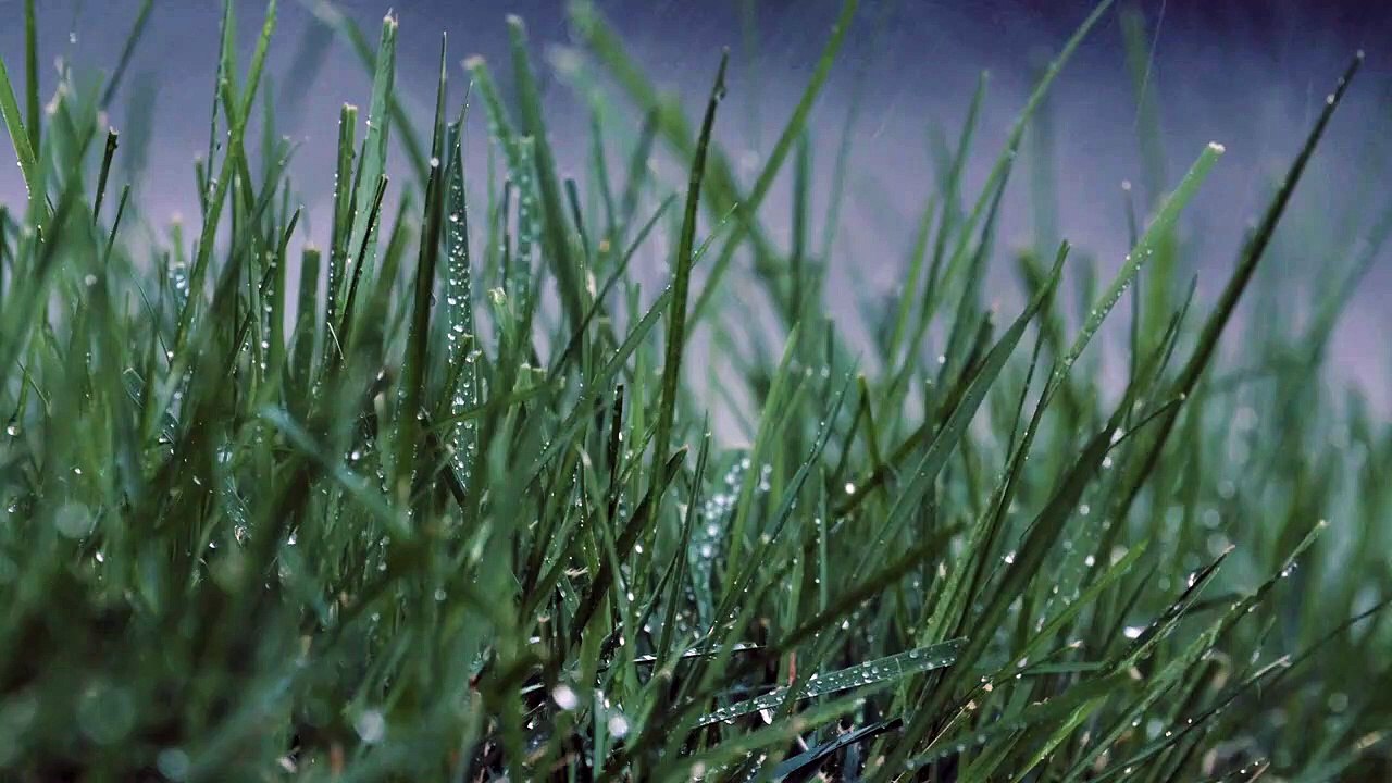 Rain cinematic video _ Rain WhatsApp status _heavy rain in village  Rainy weather whatsapp status, water drops, rain mood , Beautiful view status, fresh mood status❤