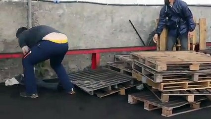 La Palma Adası'ndaki yanardağ patlamasından sağ kurtulan yavru kediye 'Magma' adı verildi