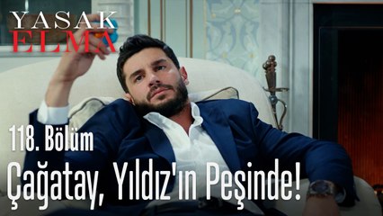 Çağatay, Yıldız'ın peşinde! - Yasak Elma 118. Bölüm