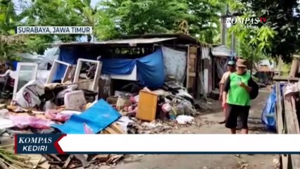 Warga Surabaya Dihebohkan Penemuan Ular Piton Sepanjang 4 Meter Di Lahan Kosong