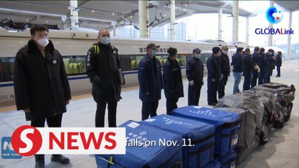 China Railway Express transports more e-commerce goods on Singles' Day