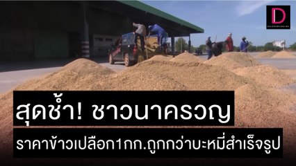 สุดช้ำ! ชาวนาครวญราคาข้าวเปลือก1กก.ถูกกว่าบะหมี่สำเร็จรูป | ชนคลิปข่าว 03/11/64 เดลินิวส์