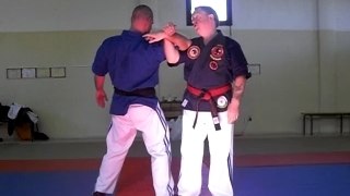 Ude garami forme kyusho-jitsu avec clé de tête