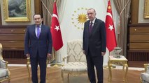 Cumhurbaşkanı Erdoğan, Türk Konseyi Genel Sekreteri Amreyev'i kabul etti