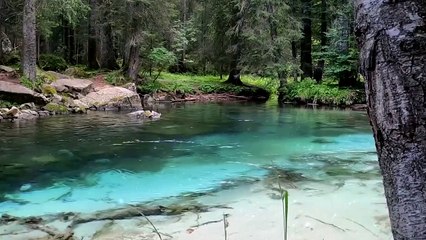 Musik Relaxasi penenang jiwa