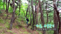 한국기행 - Korea travel_가을, 보물찾기 3부- 10년을 꿈꿔온 가을 로망_#001