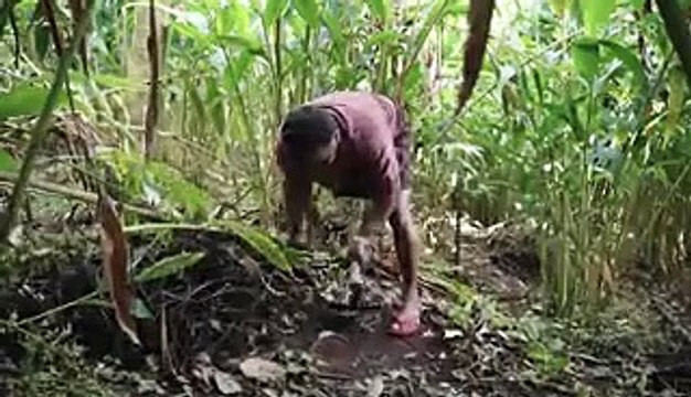 Green cardamom is one of the most expensive spices in the world. Here's why.