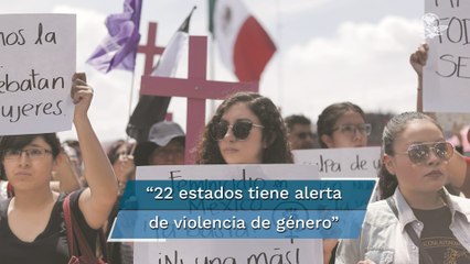 Violencia contra mujeres, grave e inocultable: Conavim; 22 estados en alerta de violencia de género