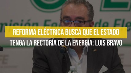 Reforma Eléctrica busca que el Estado tenga la rectoría de la energía: Luis Bravo